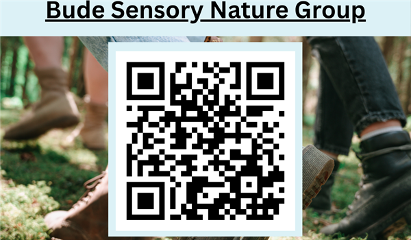 sensory dementia group