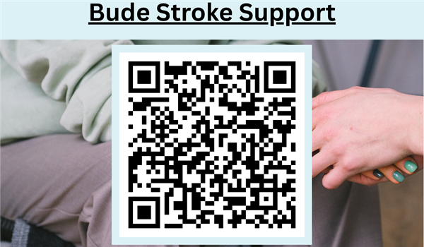 Bude stroke group