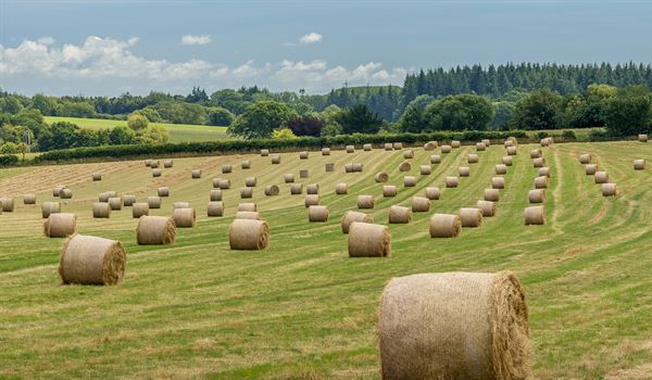 Farming hub